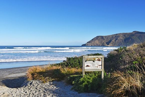 Entrance to Allans Beach on a sunny day