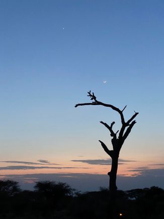 I felt like the moon was smiling.  In North America, we side the side of the moon when a sliver, not the bottom. This is one of my favorite photos - I just find it pleasing and a happy memory of a great day.