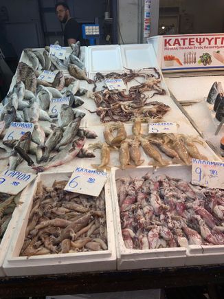A vast array of fish, octopus and squid to choose from!