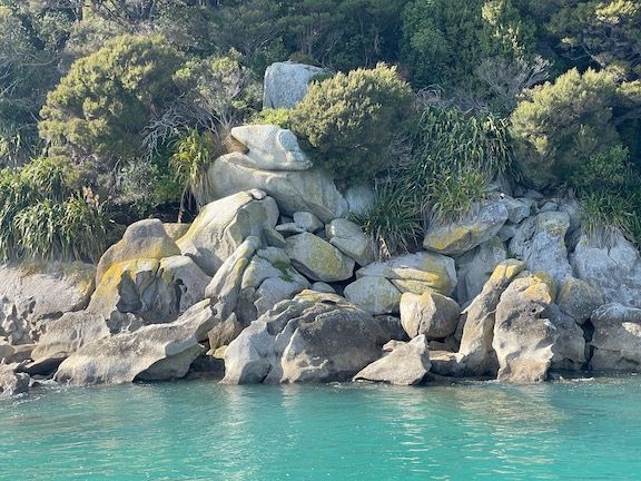 From the boat ride out to Awaroa: If you look closely, there's a baby seal sunning on the middle rock (iPhone photo).