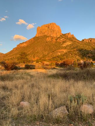 Love the Golden Hour 