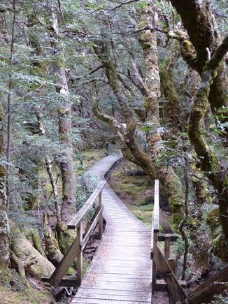 More walks