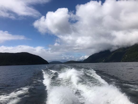 On the way to overnight on Doubtful Sound.  We had one sunny day and woke up to