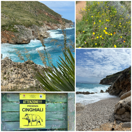 Zingarro Riserva and Torre Salsa