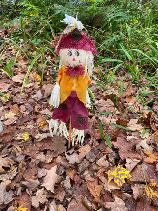 Howdy from a teeny tiny scarecrow. 