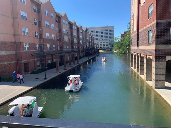 Swan boats in the canal