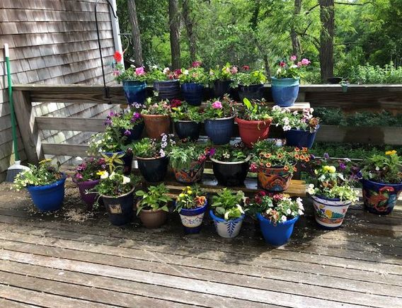 Planters on the deck