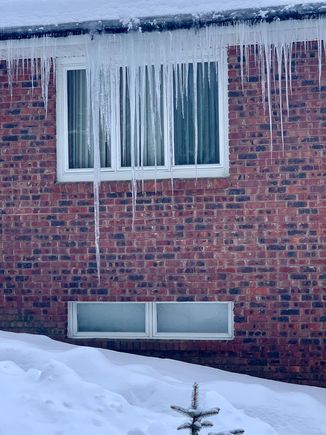 Longest icicle seen along our walk