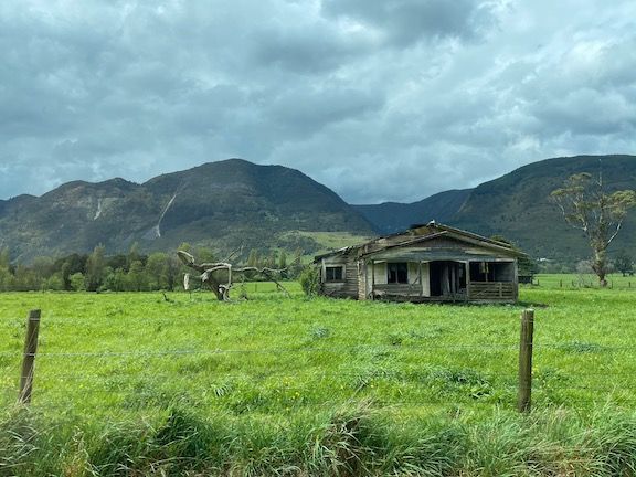 On the drive back to Kaiteriteri.