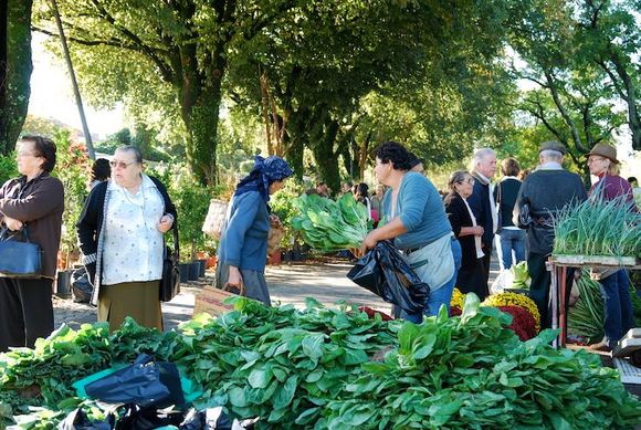 The leafy greens at Ponte de Lima Monday feira