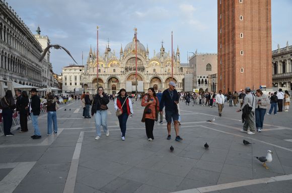 Piazza San Marco