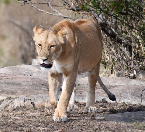 Walking off into the sunrise.