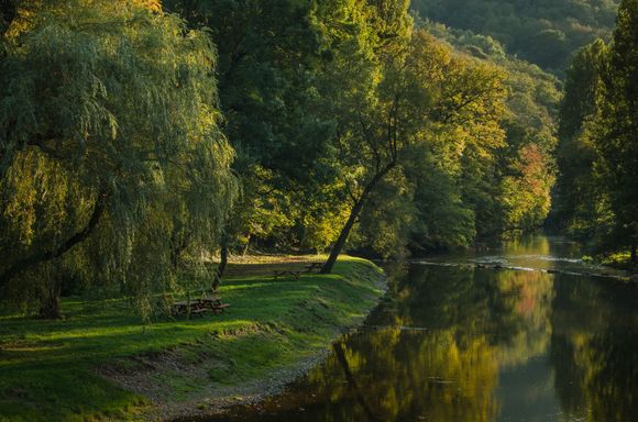 What a setting for a picnic.