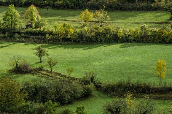 We walked part of the Via Podiensis pilgrimage.