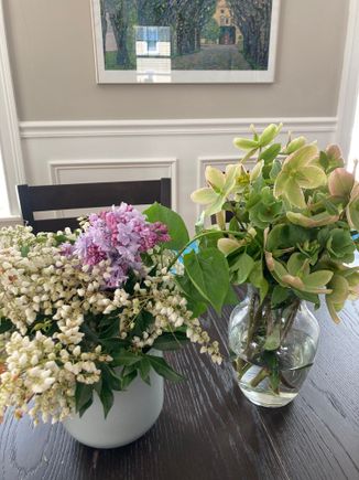 Flowers from MIL's garden 