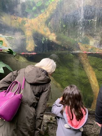 Climatron at Missouri Botanical Gardens 