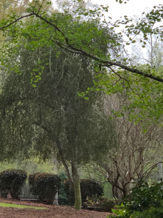 This has all happened in the last 10 days