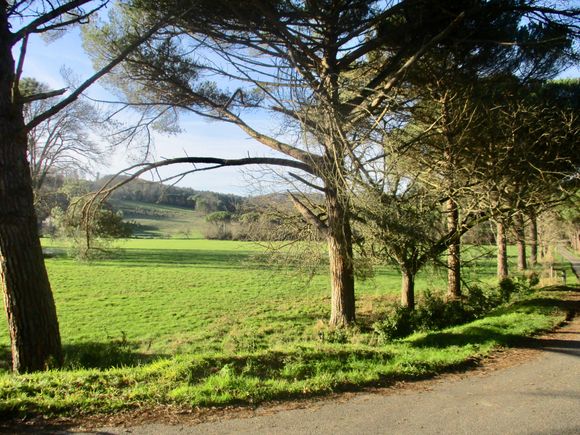 OMG, the sun actually came out one day!