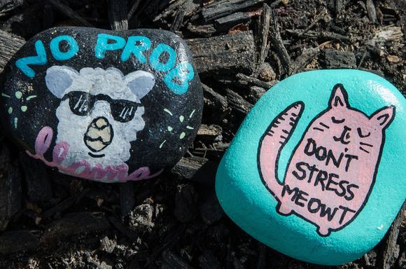 Two rocks.