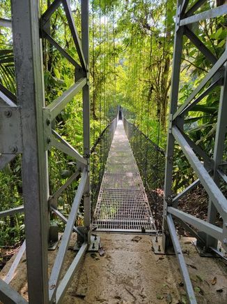 hanging bridge