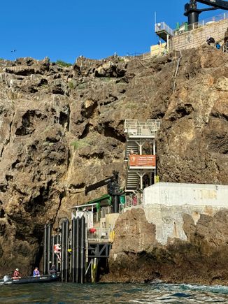 The ladder (not all on board opted to go ashore)