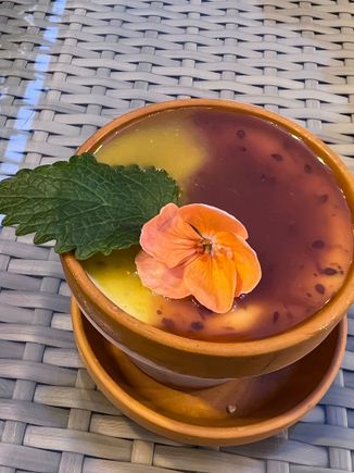 Friðheimar - tomato ice cream!