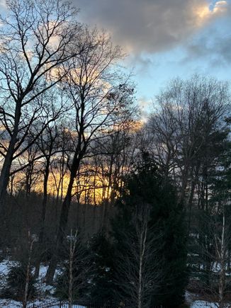 The sunrises lately have been so pretty. 