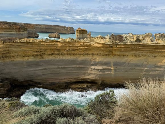 One of my favorites - The Razorback!