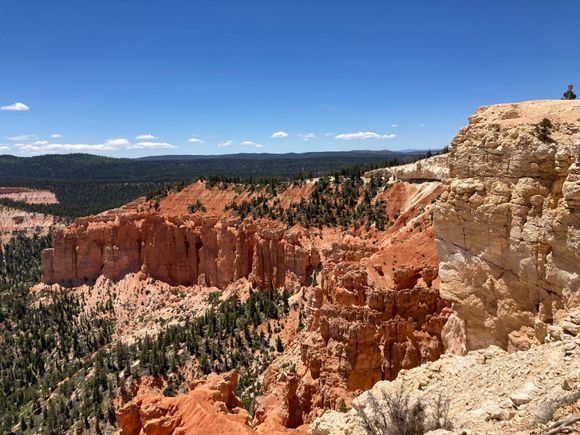 View from Bristlecone trail 