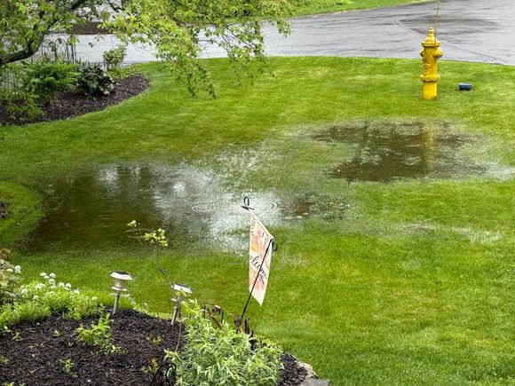 SO MUCH rain in the past couple of weeks!