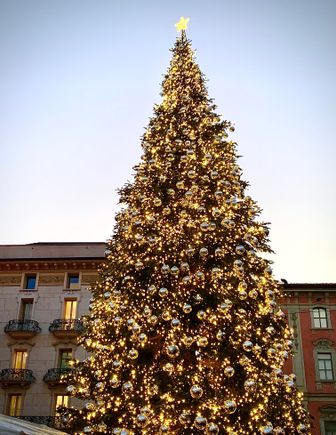 
Only one more photo to go! Wishing you all safe travels and a joyous holiday, 