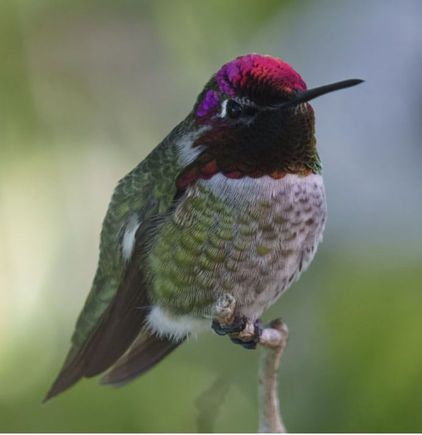 I meant to share this picture that my son took.  I love it.