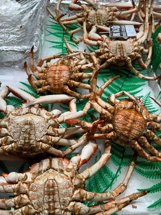 Obviously these are some type of crab but I don't know the name (centolla??)...do they look like Dungeness?  (I don't know much about crab as its not my favorite shellfish)
