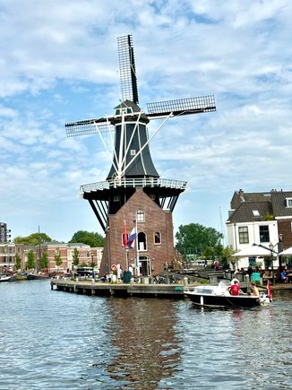And a windmill 