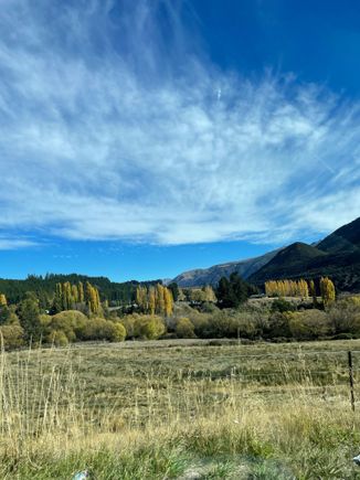 On the drive back to Nelson via Lewis Pass