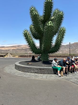 Sculpture outside the garden, near where the bus stops...we had a driver but bus is pretty easy on Lanzarote, I think.