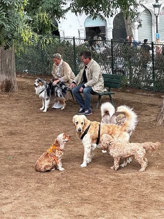 I lo=ed the dog park