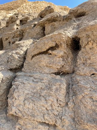 Ancient straw in ancient brick!