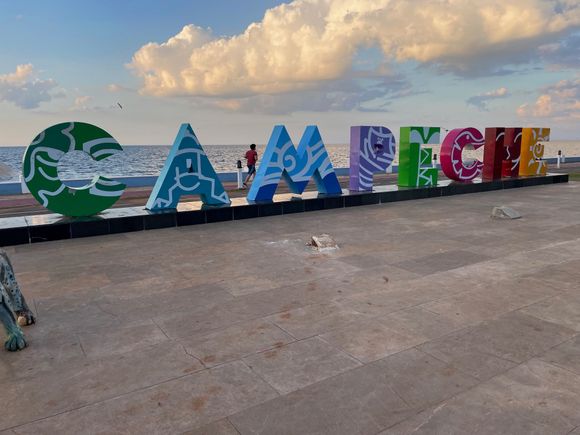 The sign is almost too big to get into a picture