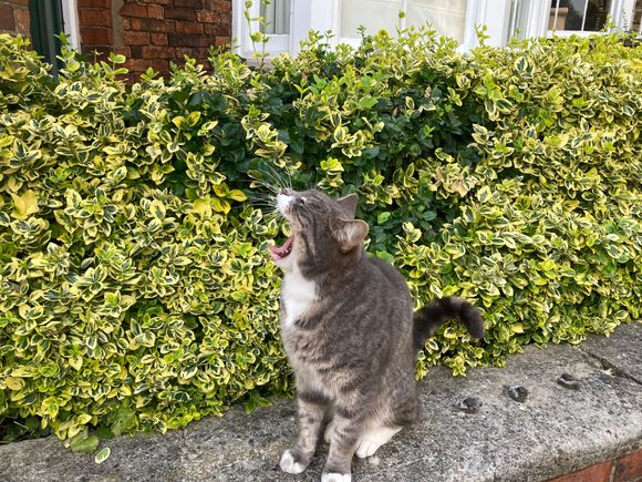 I found a friend outside the cathedral 