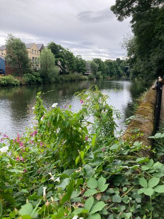 After the boat trip, we walked all the way around the town on a riverside walk.