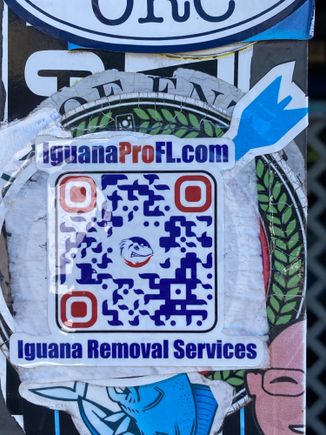 Sticker on pole at Alabama Jack’s at lunch today - from what we saw, I’d guess these guys are busy! I’d like iguanas in my yard, though!