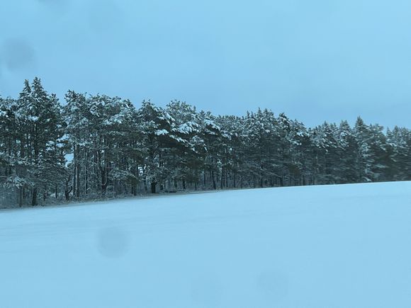 The fresh snow does make the world look clean.