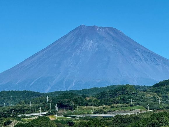 Taken through glass, (obviously) but they came out pretty darn well!