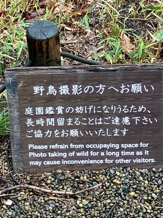 Very polite!