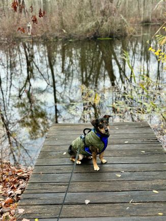 Kenny off on a long walk. 