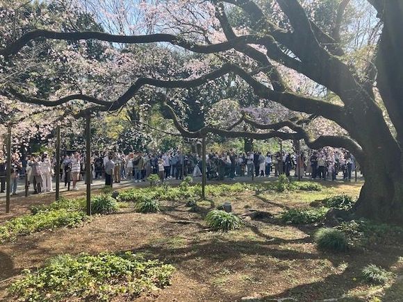 Photo opp at Rikugien garden