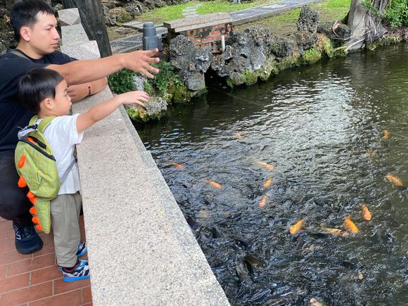feeding the fishies
