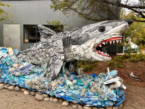These statues are all made from plastics found in the ocean. The aquarium has a large emphasis on the effects of garbage in the sea.