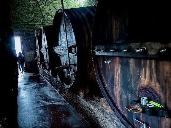 Quinta do Infantado is next door to our estate and an easy walk. Our host arranged for a private tour and tasting. This estate produces about 75% port but also some nice wines.